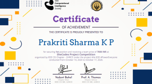 IEEE- Computational Society Certificate of Achievement